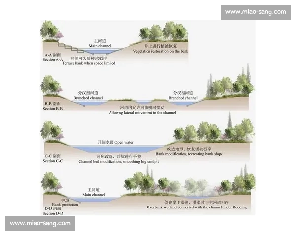 循环赛制下竞技公平与排名优化策略研究与应用探索